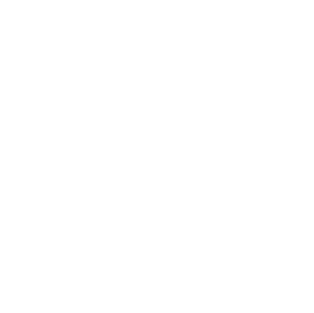100% Vegan