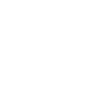 100% Vegan